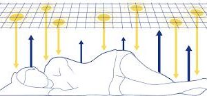 STUOIA TOTAL BODY - immagine 3